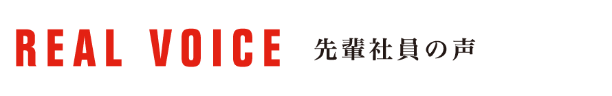 先輩社員の声